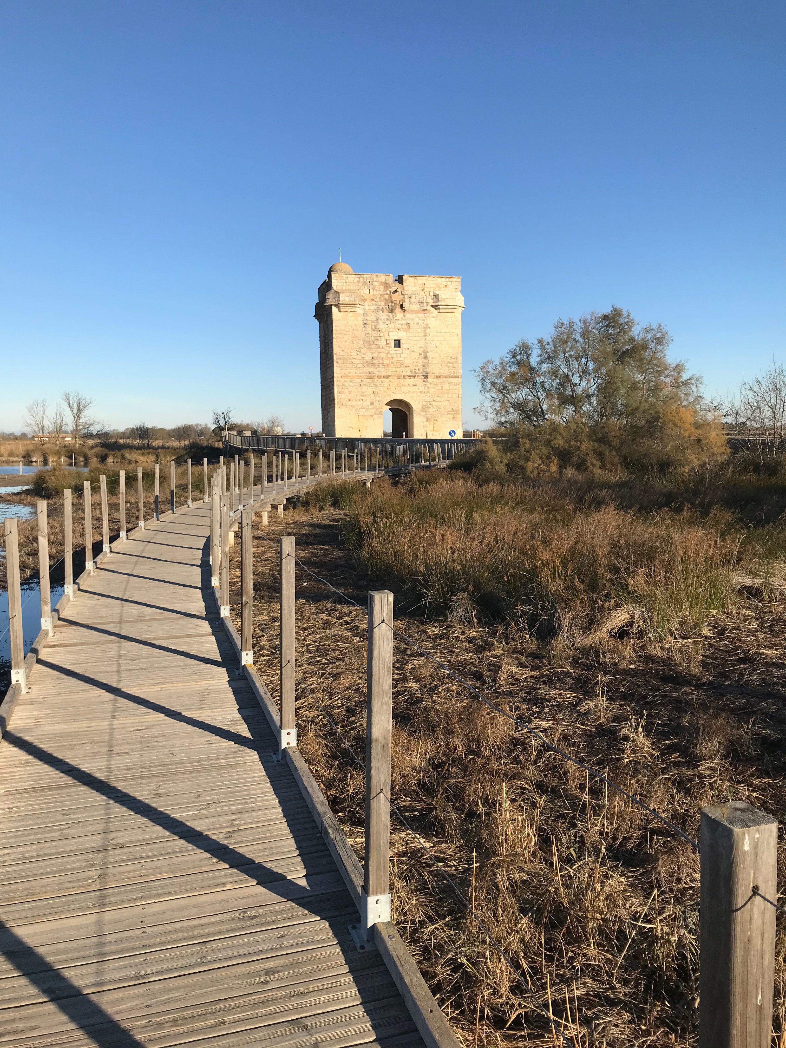 tour de constance aigues mortes