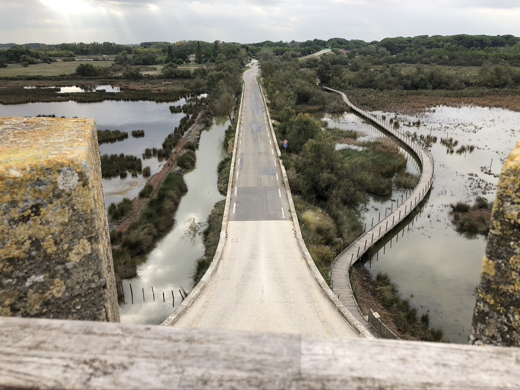 tour de constance aigues mortes visite